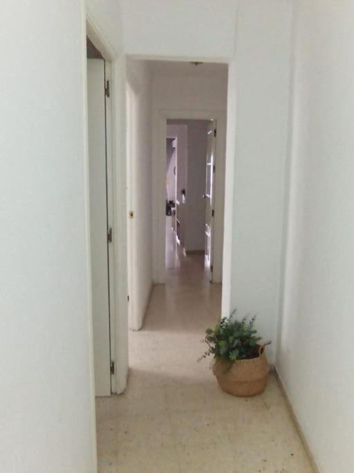 Apartamento Plaza Toros Séville Extérieur photo